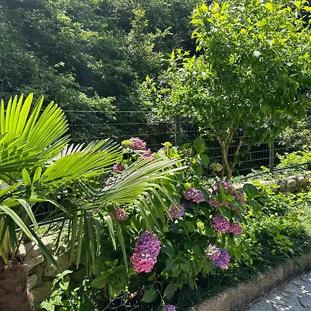 Haus Karin Holiday home *