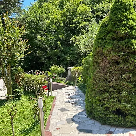 Haus Karin 度假居 洛夫兰