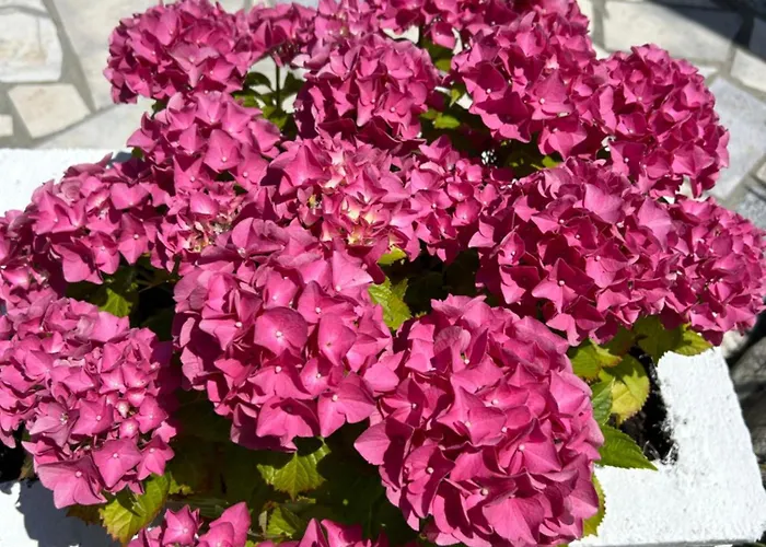 Ferienhaus Haus Karin