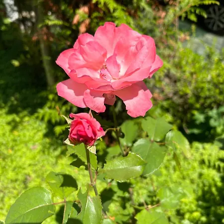 Haus Karin Prázdninový dům Lovran