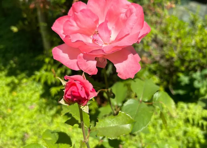 Haus Karin Casa de Férias Lovran